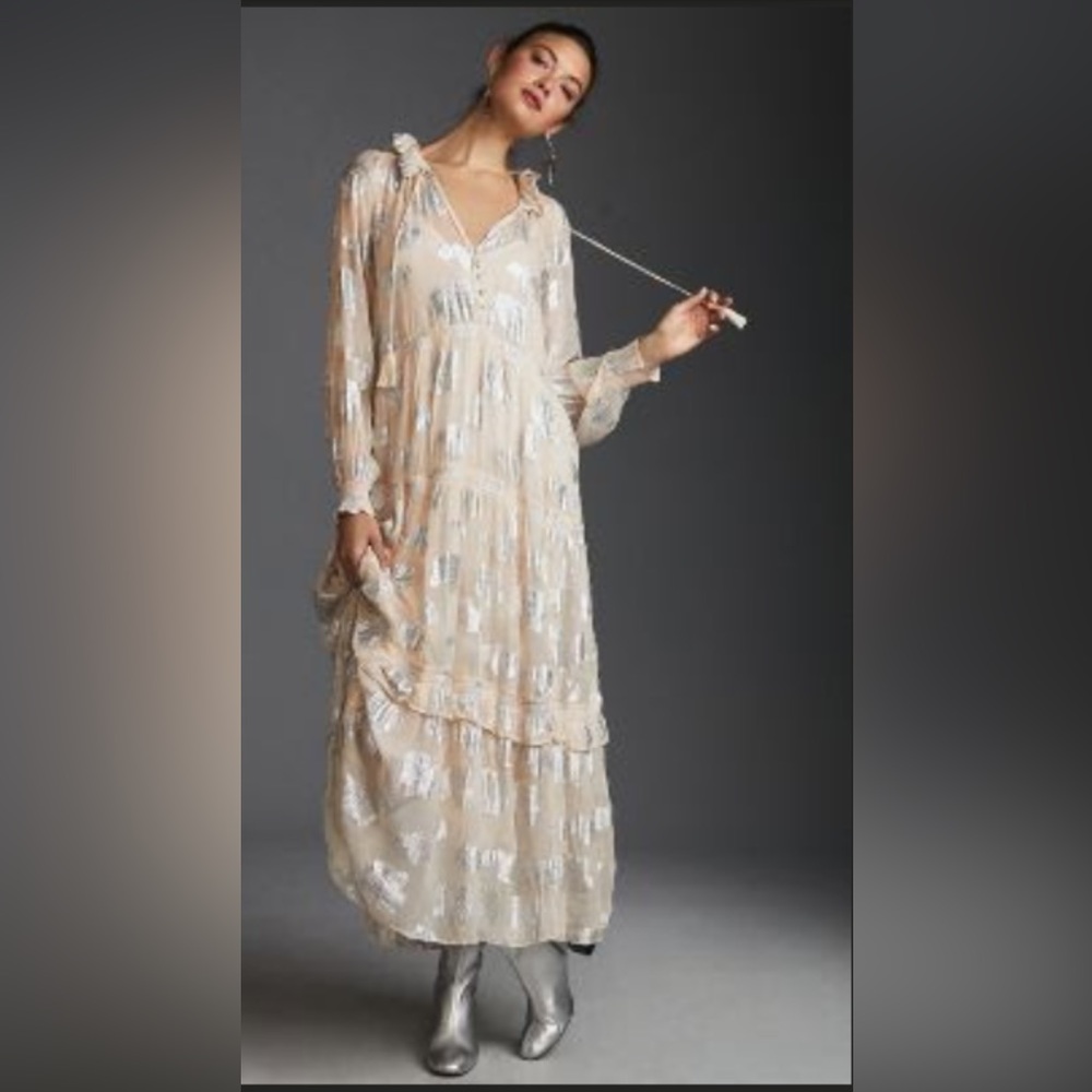 Anthropologie The Marais Chiffon Maxi Dress: Shine edition size M petitte